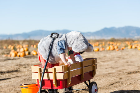 Cute kids in Halloween costumes at the pumpkin patch.の写真素材