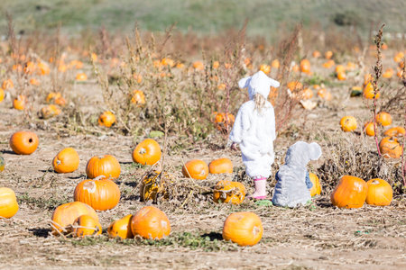 Cute kids in Halloween costumes at the pumpkin patch.