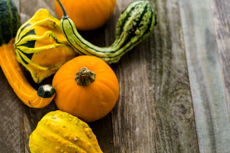Fresh organic pumpkins from the local farmers market.の写真素材