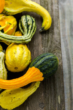 Fresh organic pumpkins from the local farmers market.