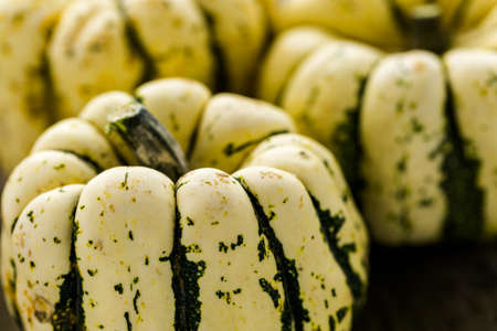Fresh organic pumpkins from the local farmers market.の写真素材