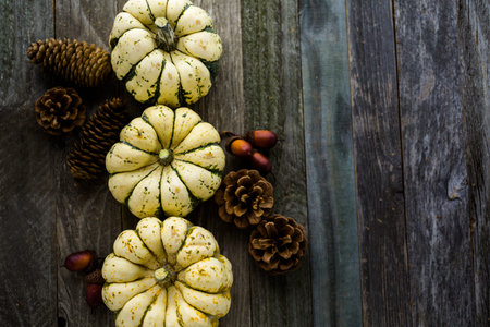 Fresh organic pumpkins from the local farmers market.