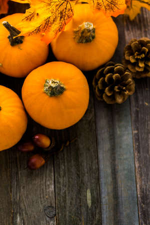 Fresh organic pumpkins from the local farmers market.の写真素材