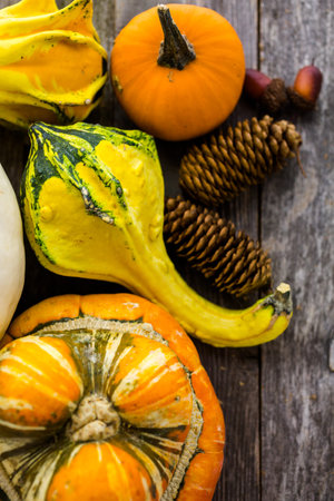 Fresh organic pumpkins from the local farmers market.