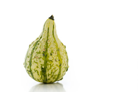 Fresh organic pumpkins from the local farmers market.の写真素材