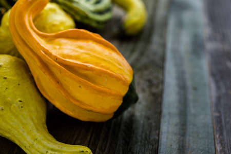 Fresh organic pumpkins from the local farmers market.の写真素材
