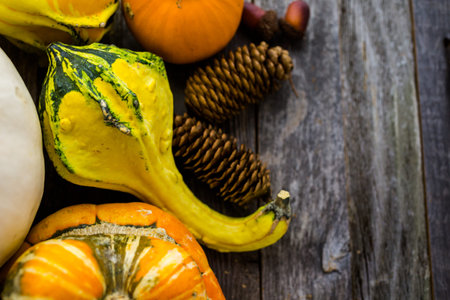 Fresh organic pumpkins from the local farmers market.の写真素材