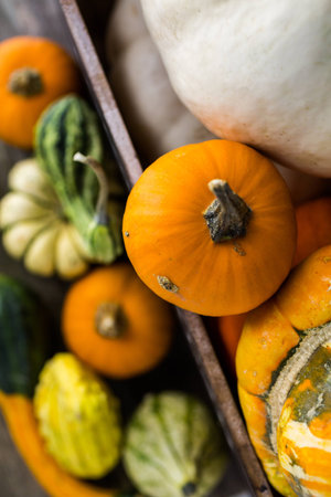 Fresh organic pumpkins from the local farmers market.