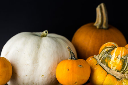 Fresh organic pumpkins from the local farmers market.