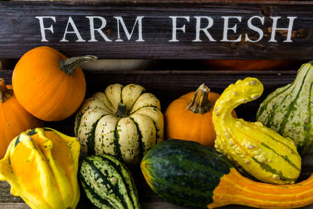 Fresh organic pumpkins from the local farmers market.の写真素材