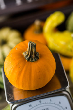 Fresh organic pumpkins from the local farmers market.