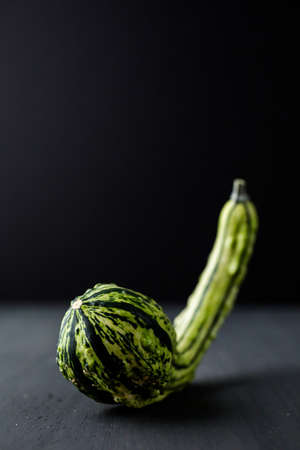 Organic miniature gourds on black background.の写真素材