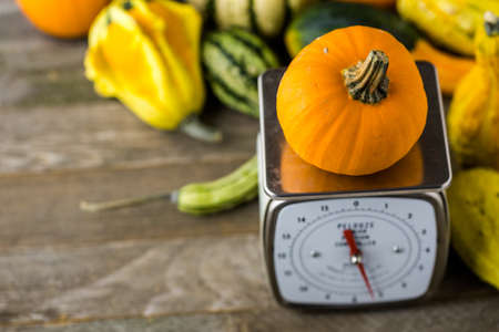 Fresh organic pumpkins from the local farmers market.の写真素材
