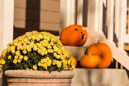 Residential house decorated for Halloween holiday.の写真素材
