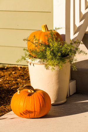 Residential house decorated for Halloween holiday.の写真素材