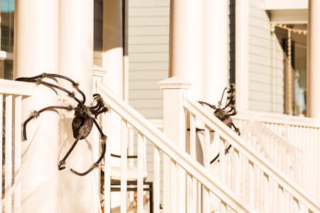 Residential house decorated for Halloween holiday.の写真素材