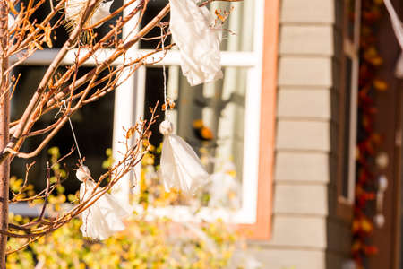 Residential house decorated for Halloween holiday.の写真素材