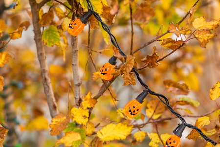 Residential house decorated for Halloween holiday.の写真素材