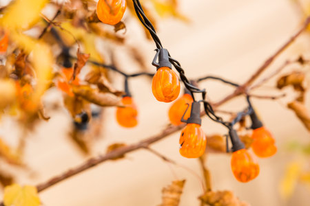 Residential house decorated for Halloween holiday.の写真素材