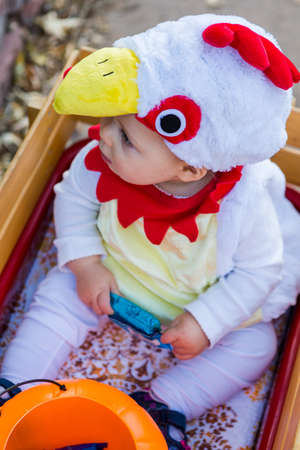 Trick or treating in costumes on Halloween night.の写真素材