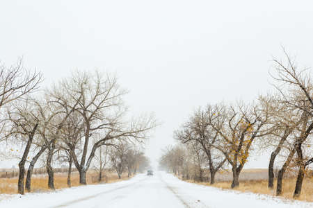 Wildlife refuge area after fresh snow in the morning.の写真素材