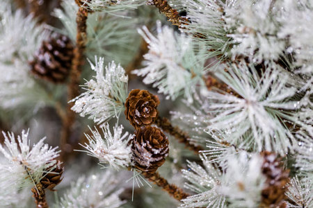 Flocked Christmas tree with pinekones.の写真素材
