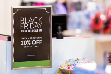 Typical North American mall on Black Friday shopping.