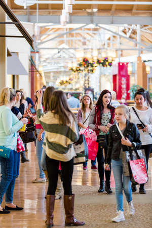 Denver, Colorado, USA-November 28, 2014. Typical North American mall on Black Friday shopping.のeditorial素材