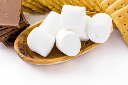 Smores station with large white marshmallows at the party.