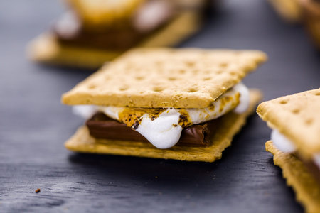 Freshly toasted smores with large white marshmallows.の写真素材