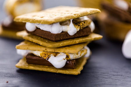 Freshly toasted smores with large white marshmallows.の写真素材