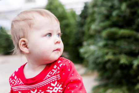 Cute baby girl in red Scandinavian dress at the Christmas tree farm.の写真素材