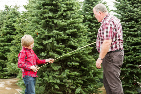 Family selecting a tree for Christmas at the Christmas tree farm.