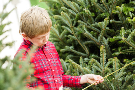 Family selecting a tree for Christmas at the Christmas tree farm.の写真素材