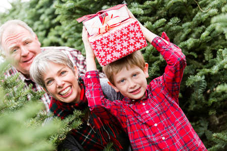 Family selecting a tree for Christmas at the Christmas tree farm.の写真素材