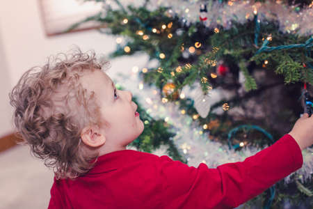Family decorating beautiful live Christmas tree.の写真素材