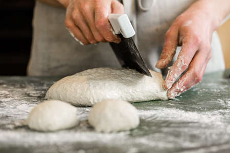 Young baker preparing artisan sourdough dinner rolls.の写真素材