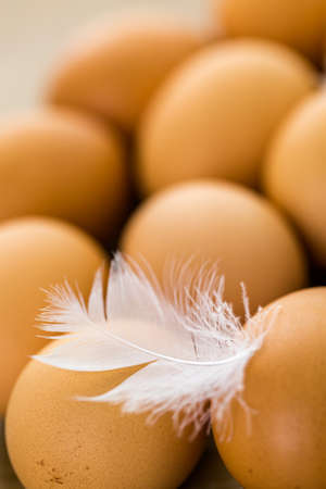 Fresh farm eggs on the wood table.の写真素材
