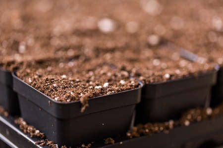 Small planting pots with topsoil ready for planting season.の写真素材