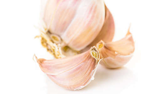 Organic garlic on a white background.の写真素材