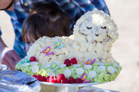 Second birthday party at the community farm.の写真素材