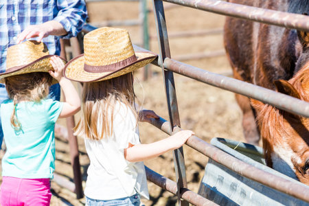 Second birthday party at the community farm.の写真素材