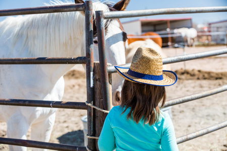 Second birthday party at the community farm.の写真素材