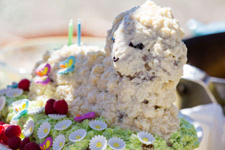 Second birthday party at the community farm.の写真素材