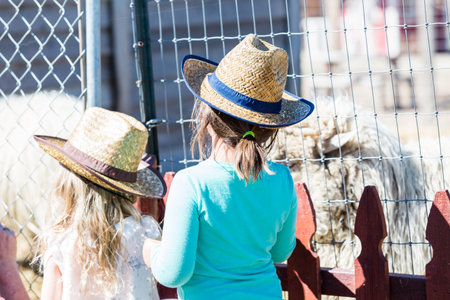 Second birthday party at the community farm.の写真素材