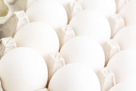Farm fresh organic white eggs in egg crate.の写真素材