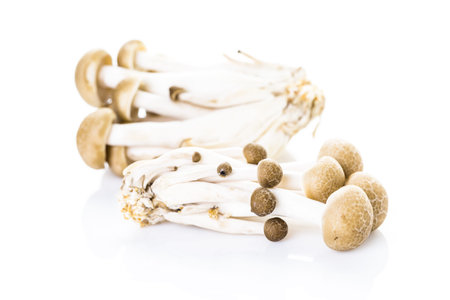 Organic brown beech mushrooms on a white background.の写真素材