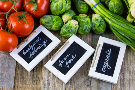 Fresh organic vegetable in season on old farm table.の写真素材