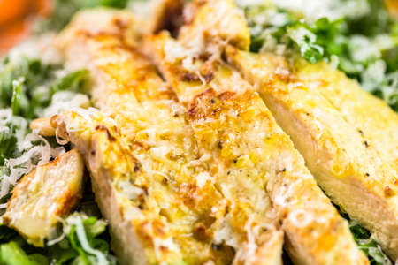 Arugula salad with grilled chicken in Italian restaurant.の写真素材