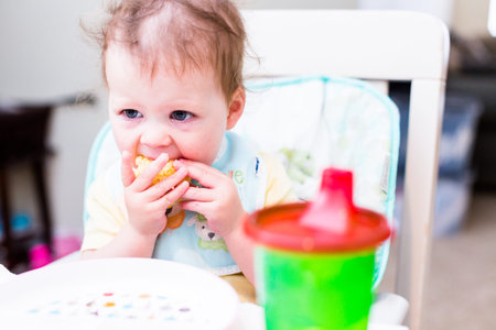 Cute toddler girl wating lunch in her high chair.の写真素材